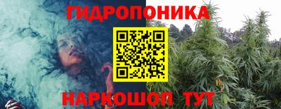 сатива Аргун