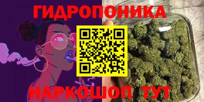 сатива Аргун