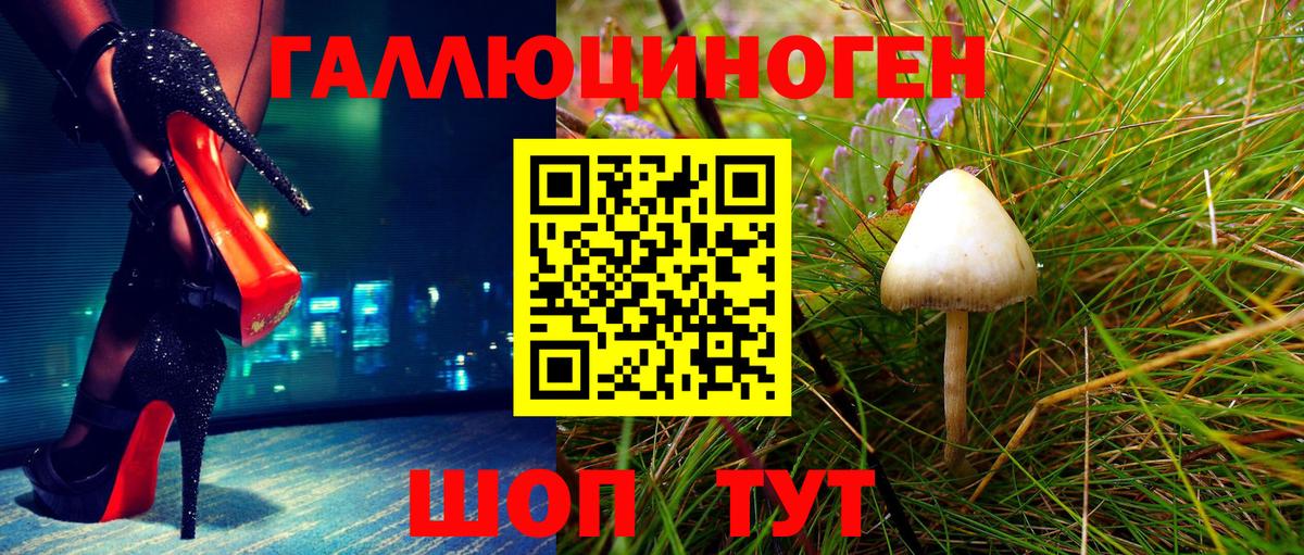 Большой Камень  Псилоцибиновые грибы Magic Shrooms  Вход с VPN 