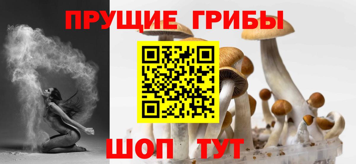 Псилоцибиновые грибы мицелий Большой Камень